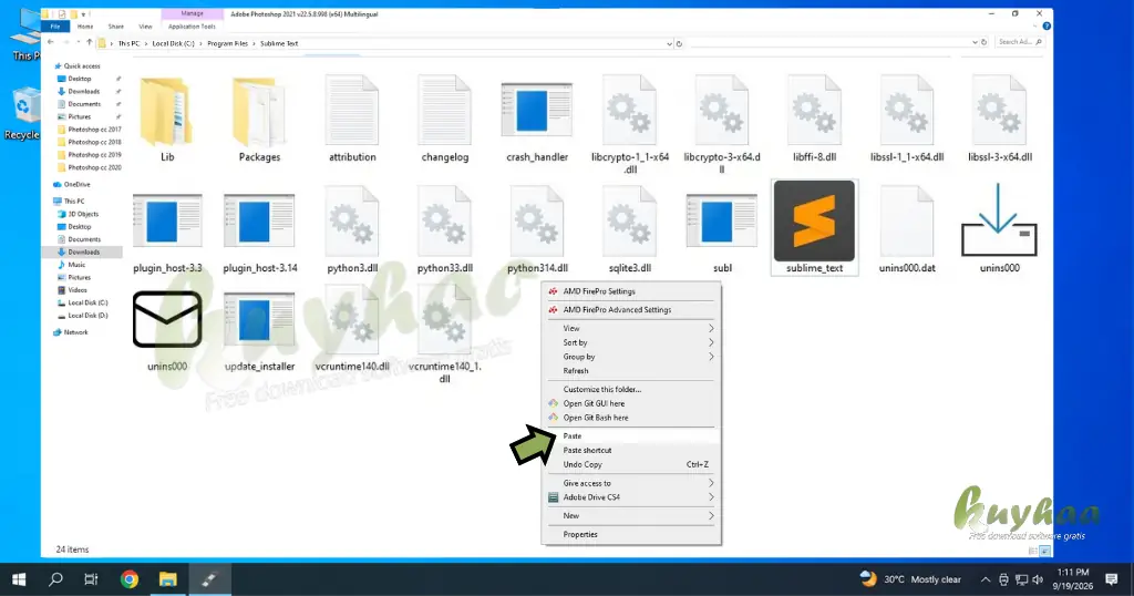 Paste Activation File