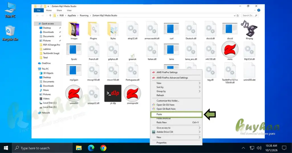 paste the Zortam Patch files