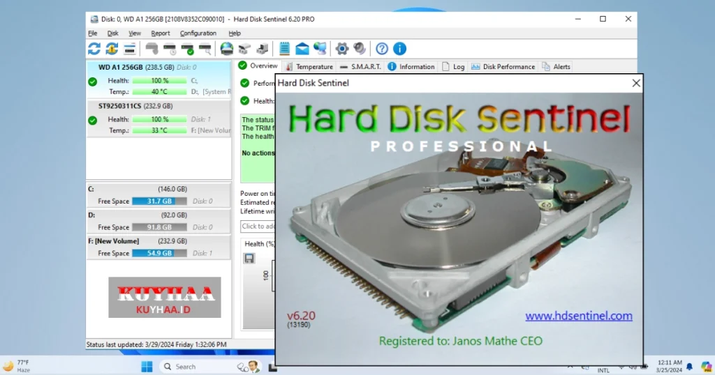 This picture shows the interface of Hard Disk Sentinel