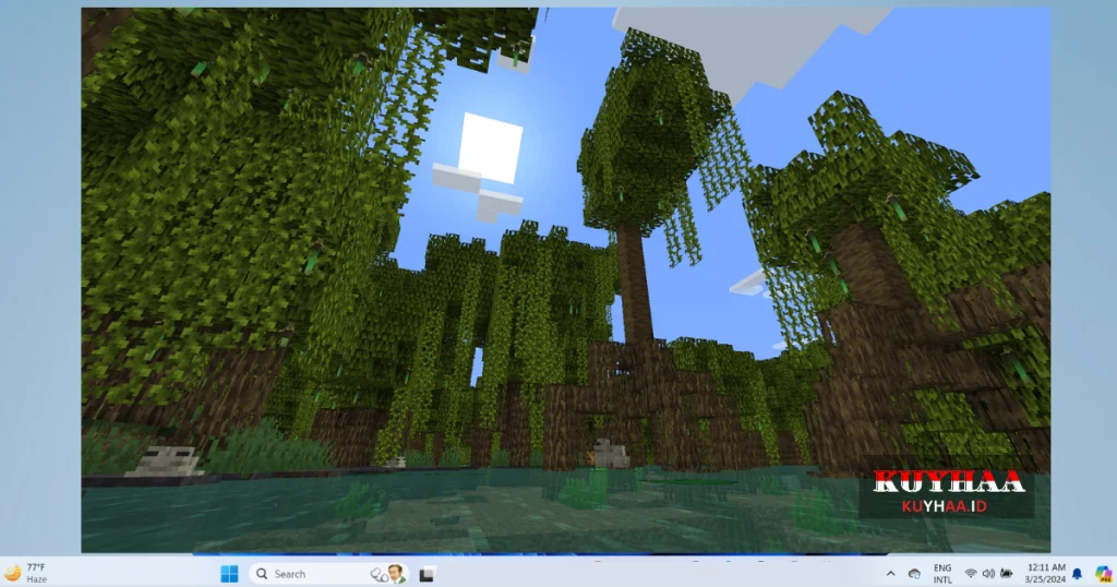 This picture shows the game playing of Minecraft: Java & Bedrock Edition