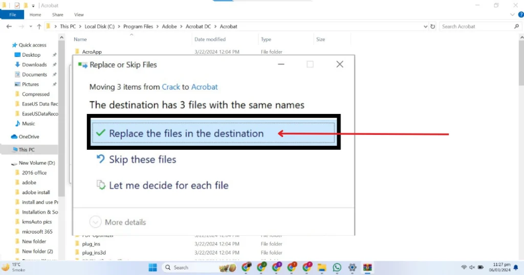 This picture shows replace the files in the destination