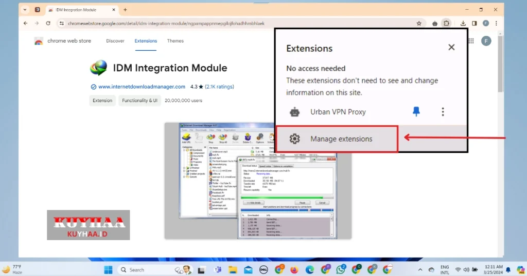 This picture shows now click manage extensions