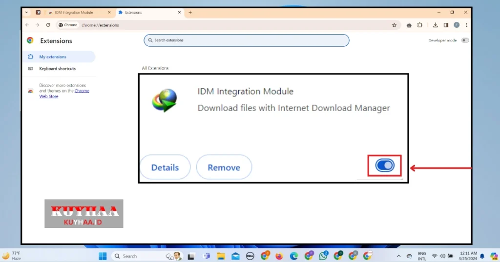 This picture shows IDM is ready to use