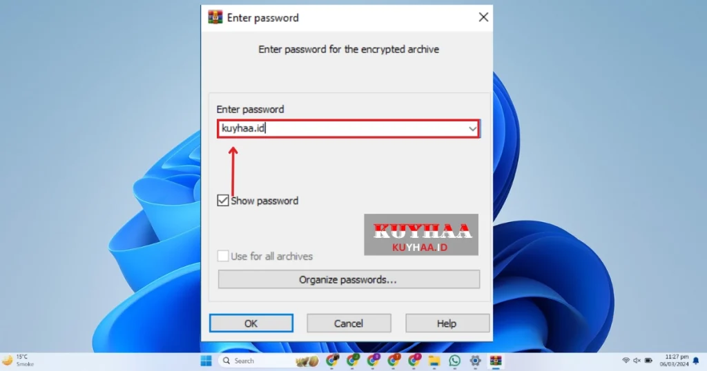 This picture shows to enter the password of BitTorrent Pro