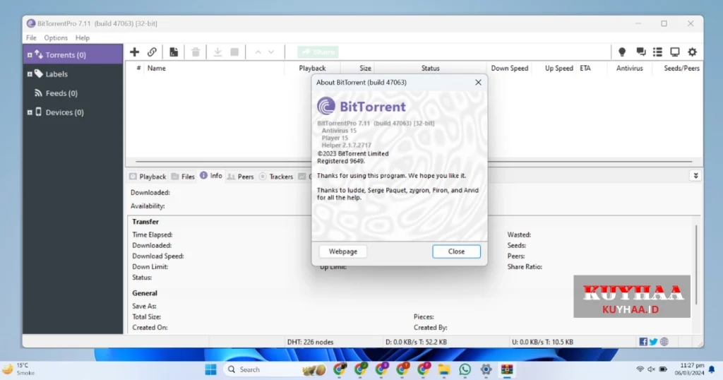 This picture shows the interface of BitTorrent Pro