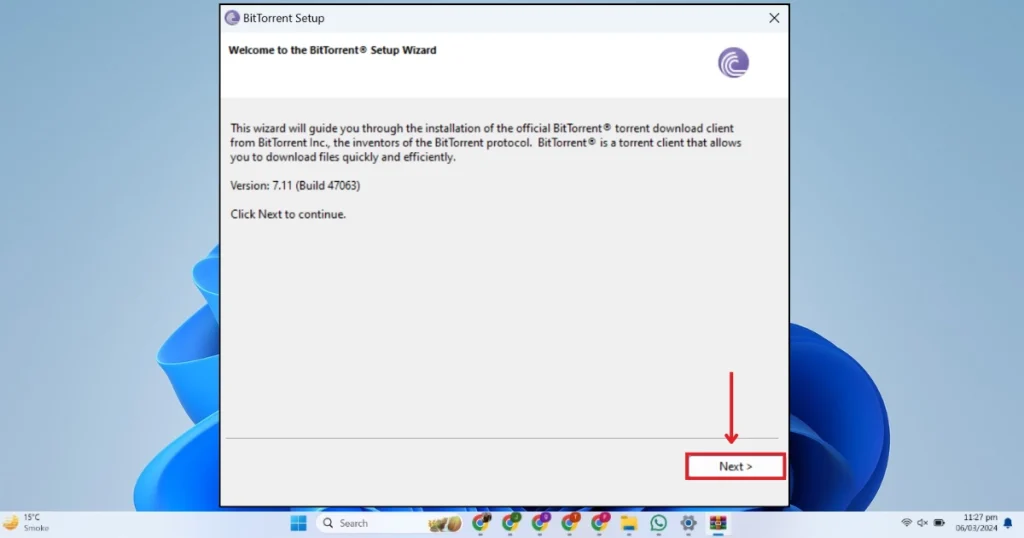 This picture shows the installation wizard of BitTorrent Pro