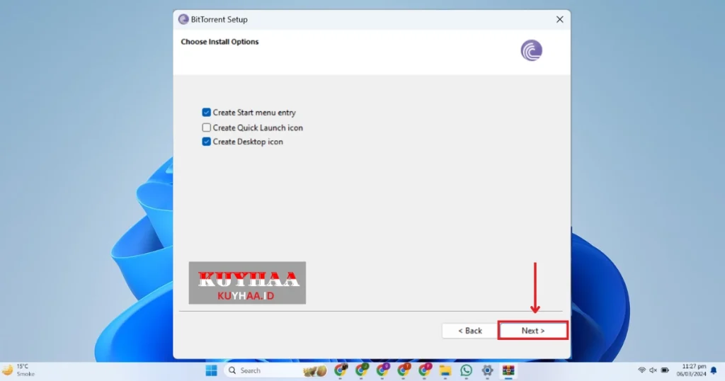 This picture shows to select additional options of BitTorrent Pro