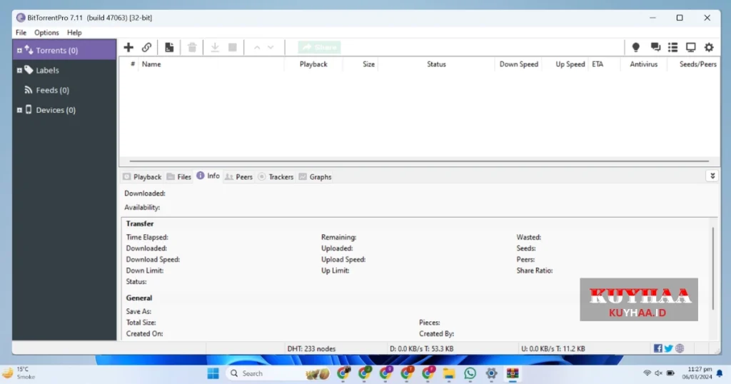 This picture shows the interface of BitTorrent Pro