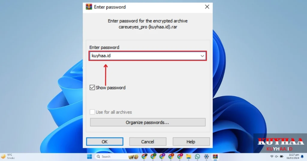 This picture shows to enter the password of CareUEyes Pro