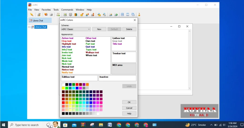This picture shows the interface of mIRC