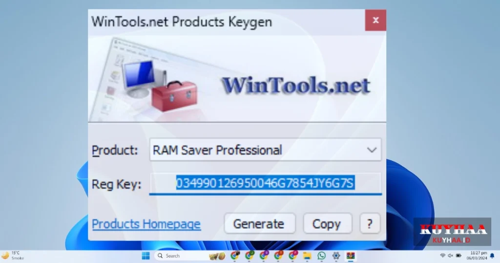 This picture shows the Reg Key of RAM Saver Professional