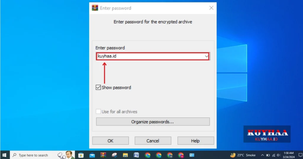 This picture shows to enter password of Infix PDF Editor Pro