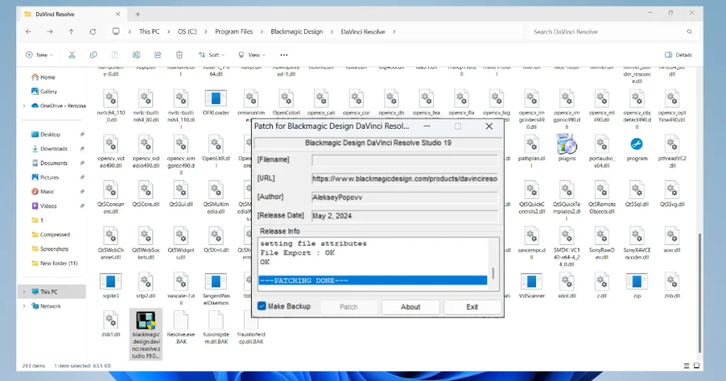 DaVinci Resolve Studio Patching done
