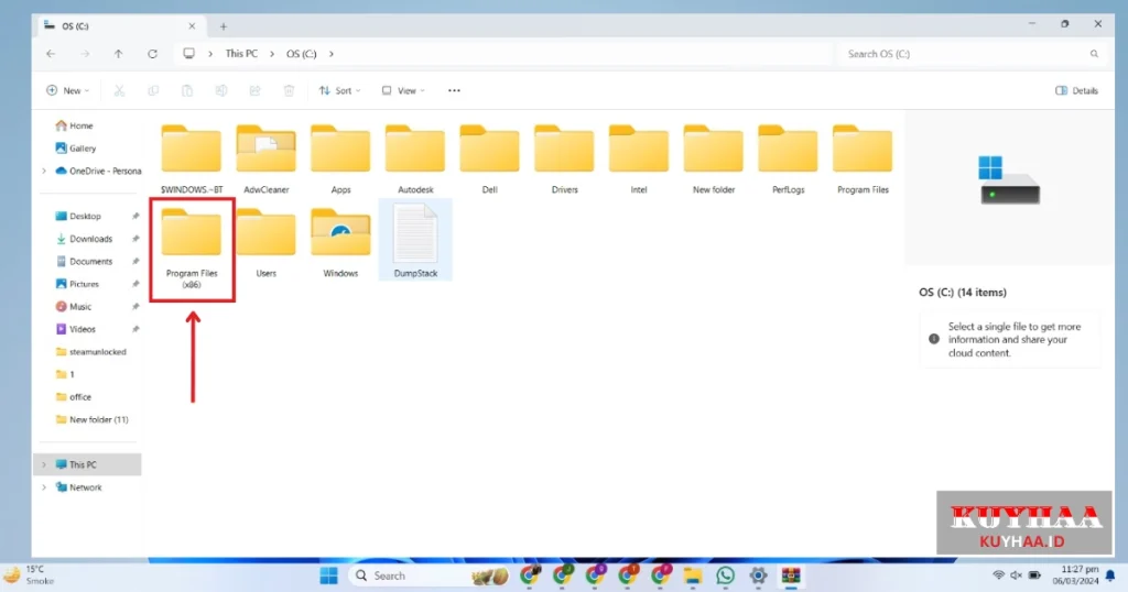 open program files