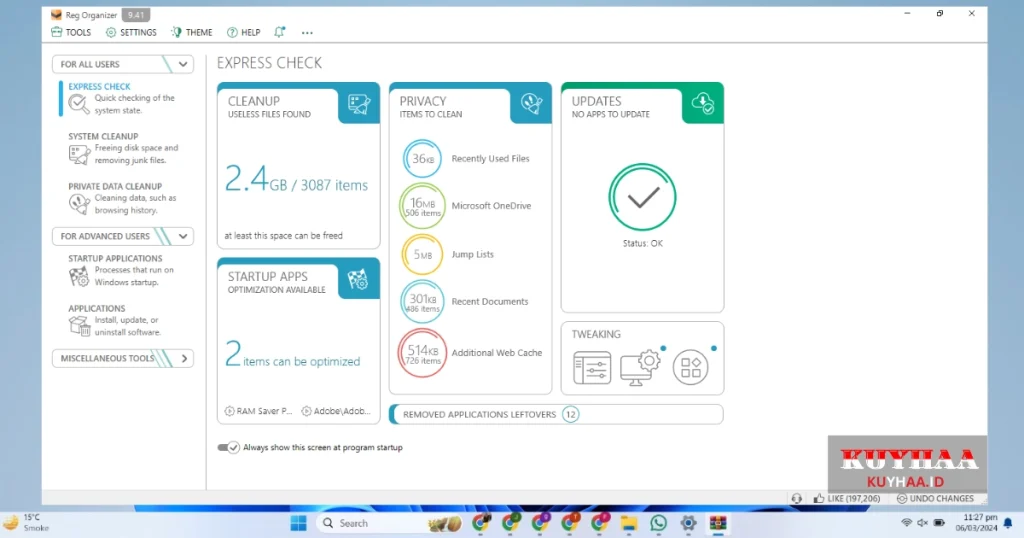 This picture shows the interface of Reg Organizer