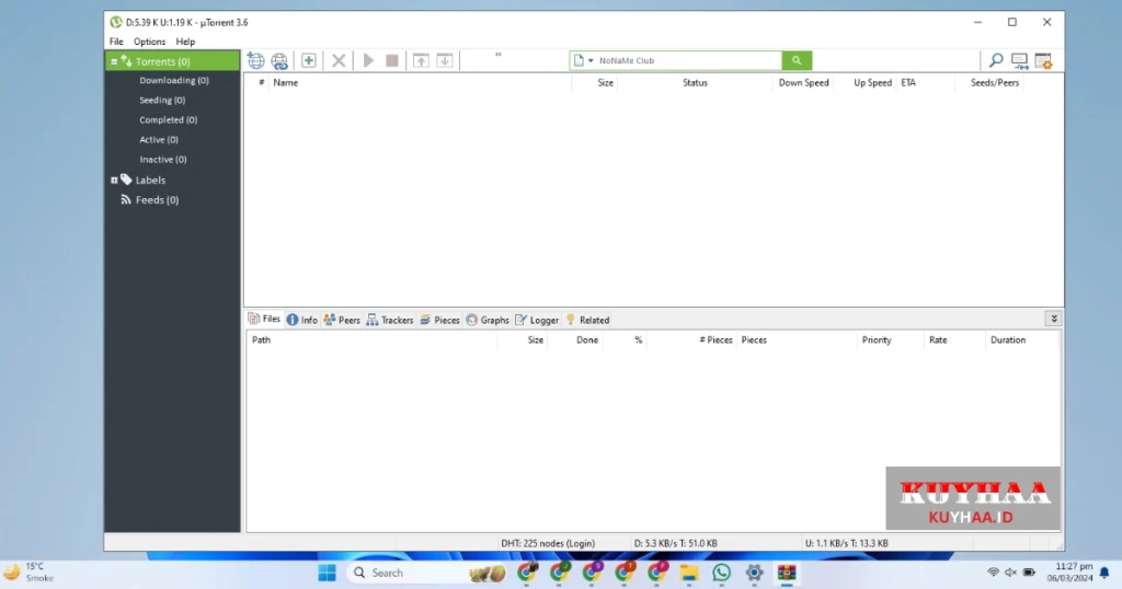 This picture shows the interface of uTorrent Pro