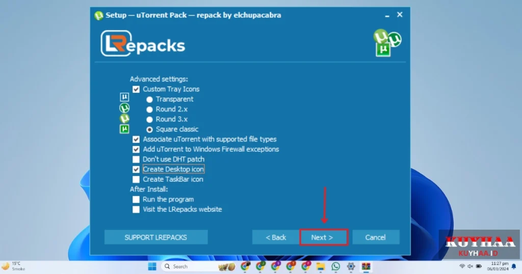 This picture shows the advanced settings of uTorrent Pro