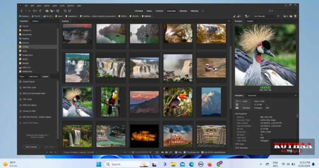 Adobe Bridge 2024 interface