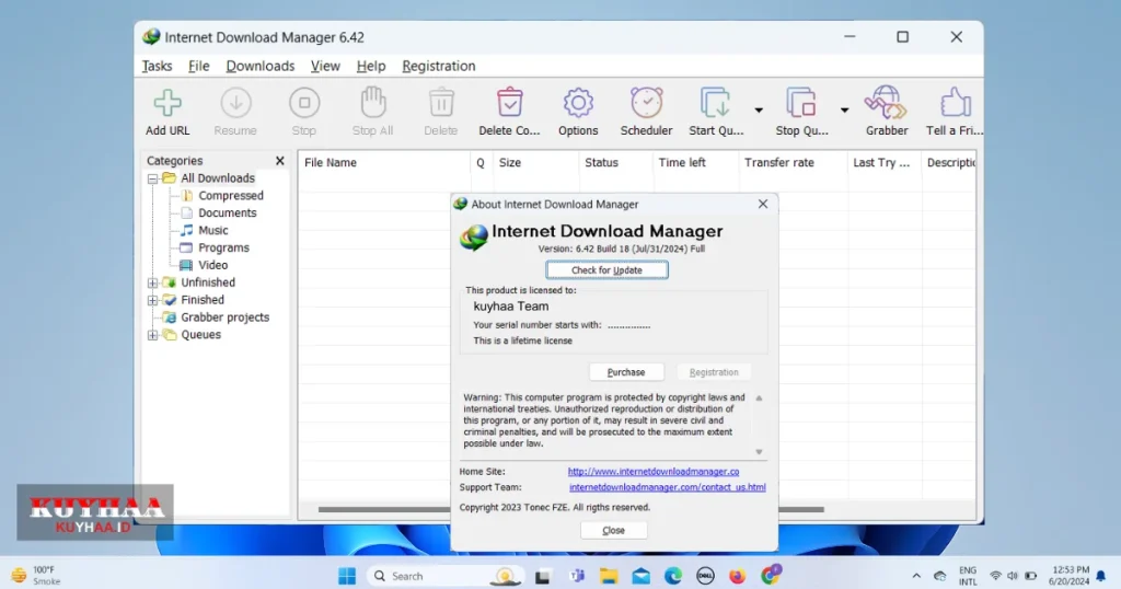 Internet Download Manager Interface