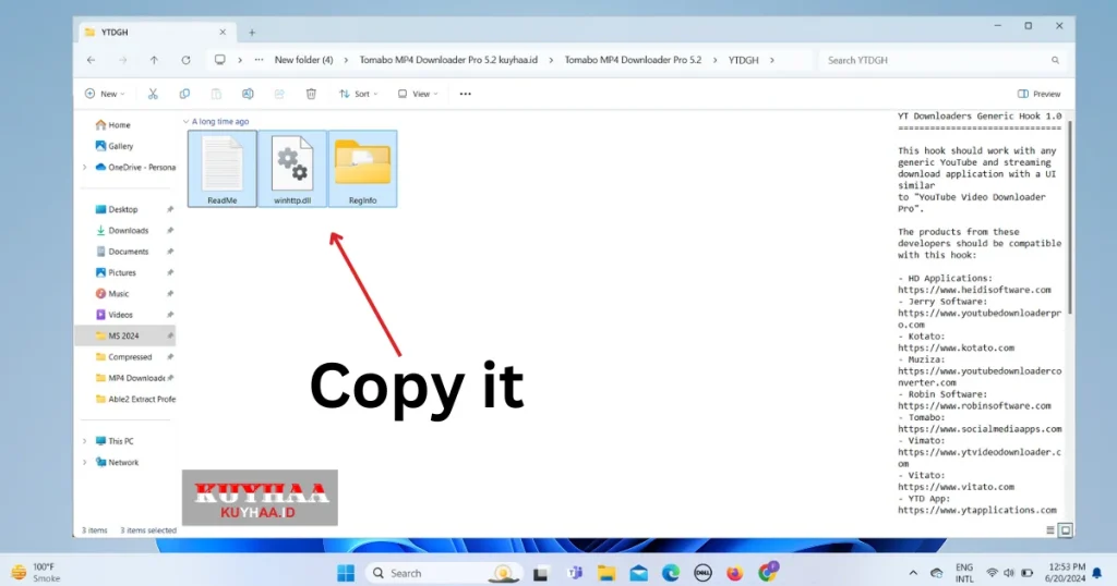 Copy these folder 