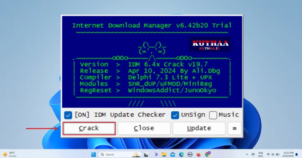 Crack IDM