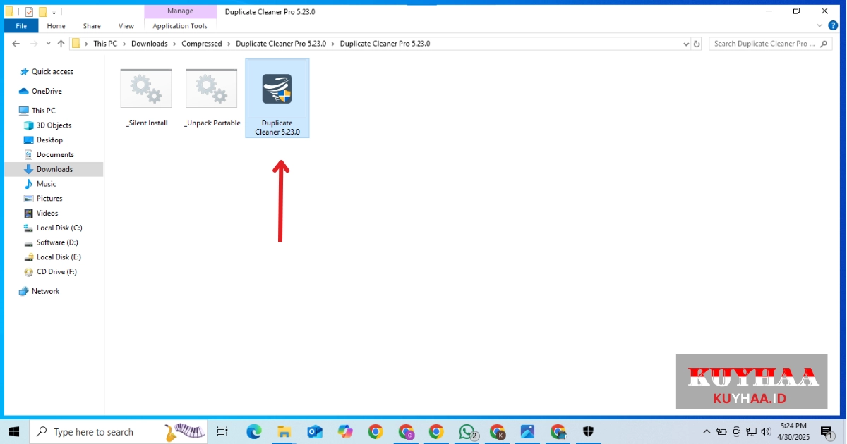 Run Duplicate Cleaner Pro Setup